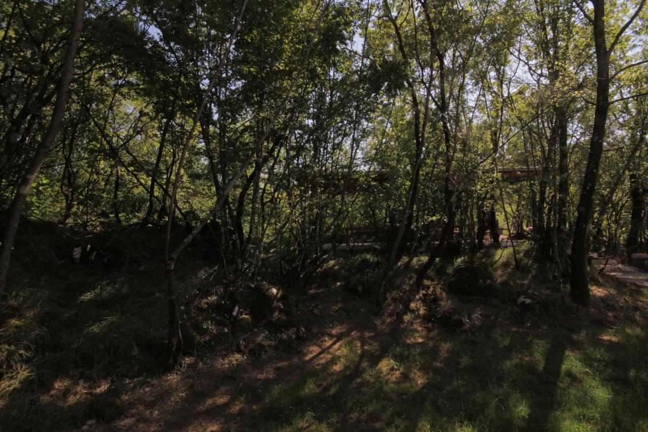 Vukova Dolina Apartments Cetinje Luaran gambar