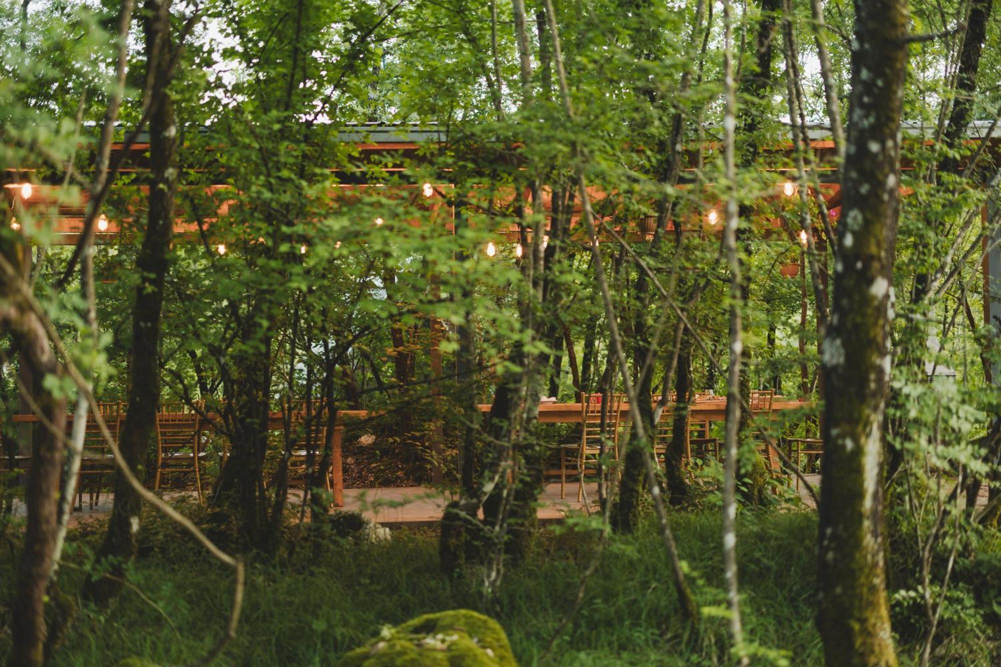 Vukova Dolina Apartments Cetinje Luaran gambar